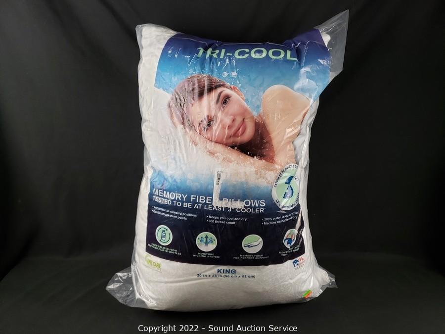 05/16/22 Yard Art, Scale Modeling, Household Online Auction