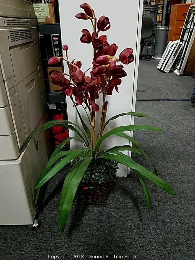 2/06/18 Hayes Estate Auction Pt.1