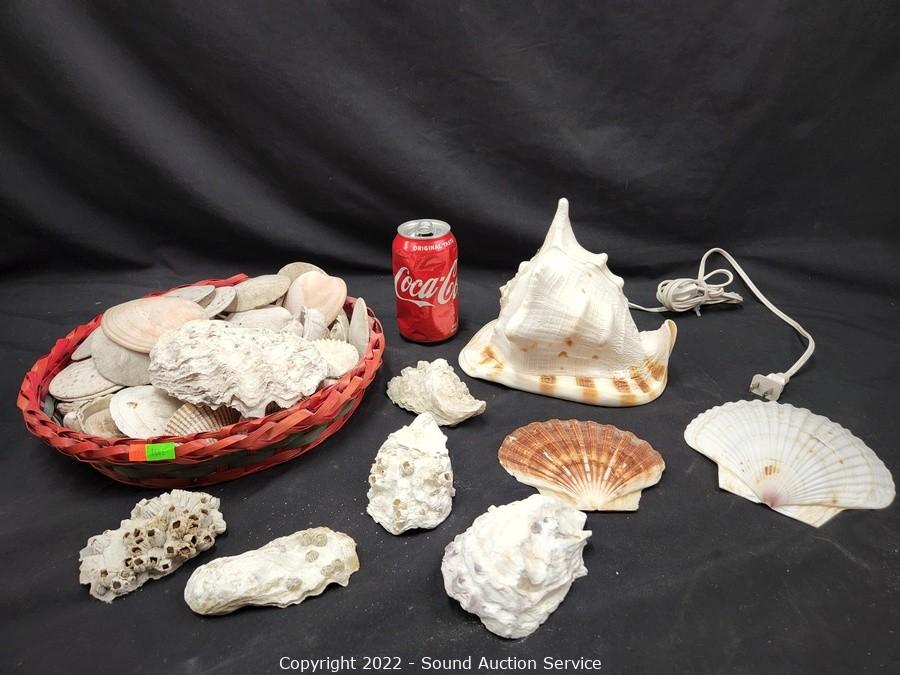 Sound Auction Service - Auction: 06/17/22 Elliott, Tracht & Others Online  Consignment Auction ITEM: Seashell Lamp & Various Other Seashells