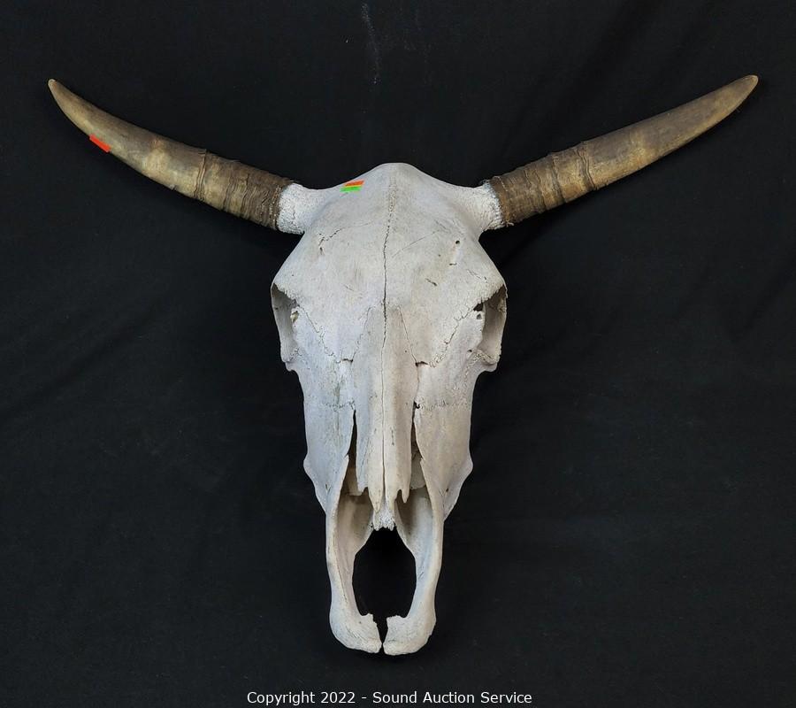 11/01/22SAS Carpenter, Leicht Online Auction