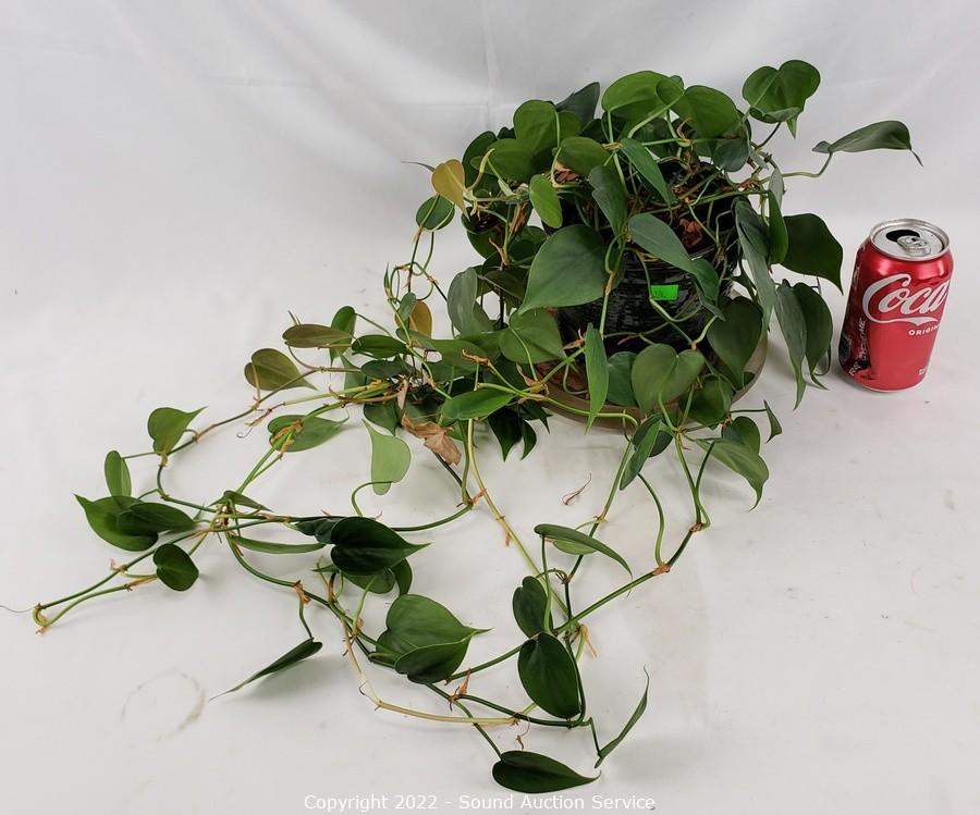 11/01/22SAS Carpenter, Leicht Online Auction