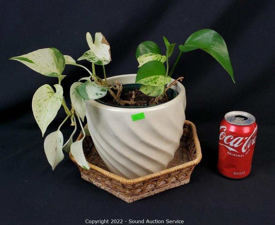 11/01/22SAS Carpenter, Leicht Online Auction