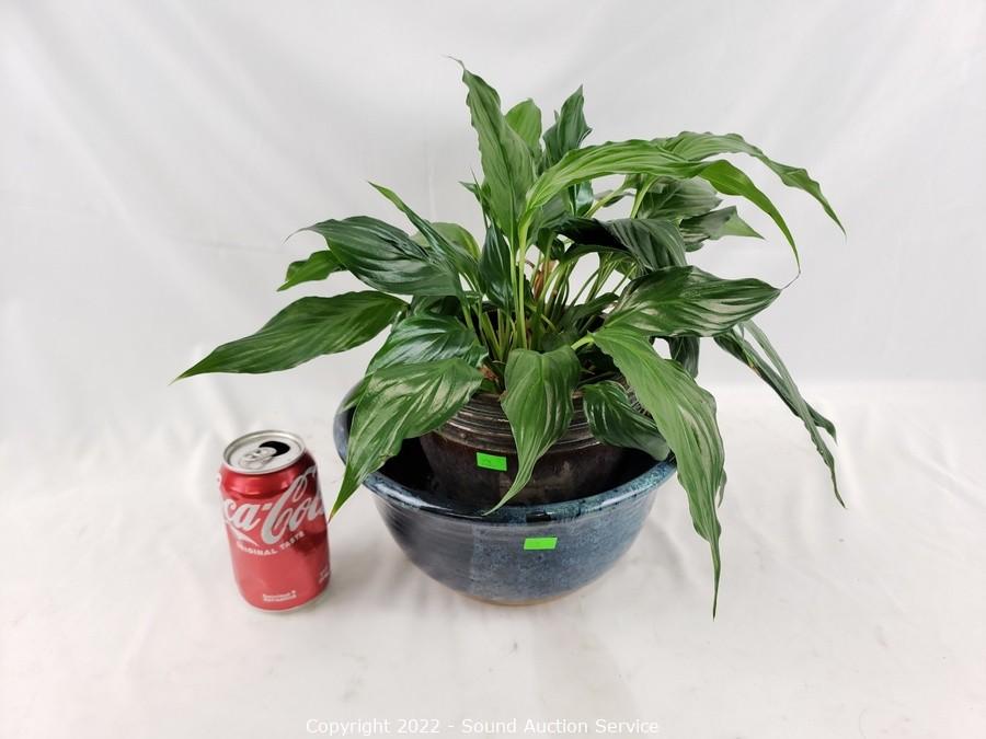 11/01/22SAS Carpenter, Leicht Online Auction