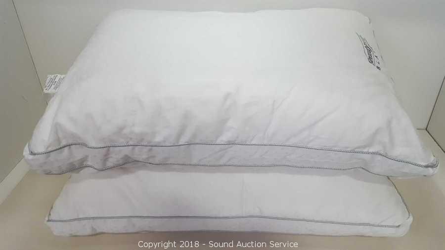 5/10/18 Seahawk Auction