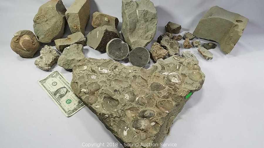 08/07/18 Minerals & More Auction