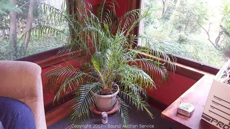 Densmore NE Olympia Estate Auction