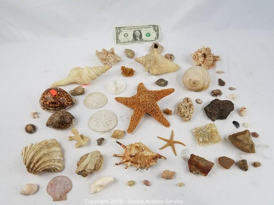 10/08/19 Mines, Metzelaar, Tosteven & Others Estate Auction