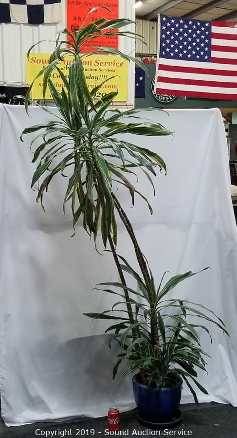 10/31/19 Walter, Clay & Others Multi Estate Auction