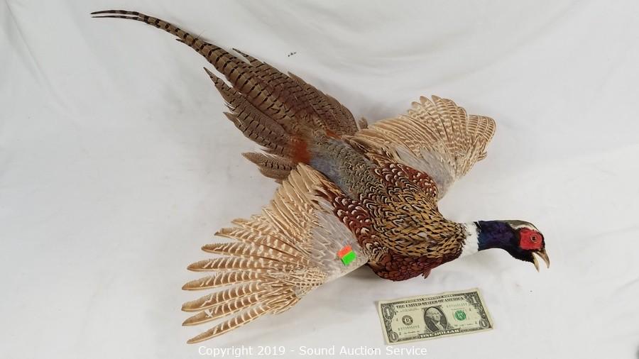 12/03/19 Vanderpool, Sheldon & Others Multi-Estate Auction