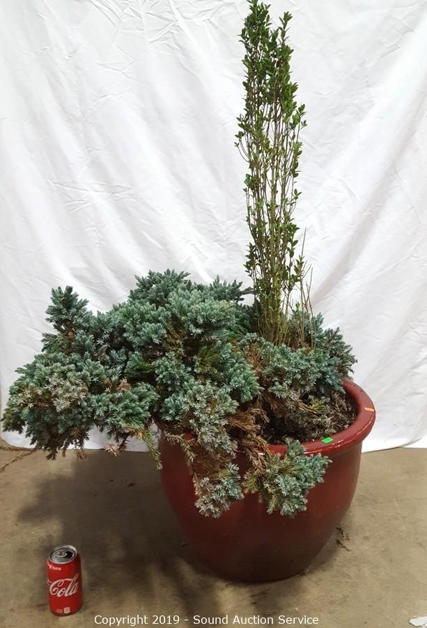 12/10/19 James, Methenitis & Others Estate Auction